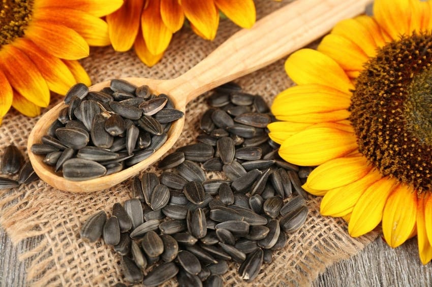 Customs clearance of sunflower seed